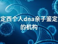 定西个人dna亲子鉴定的机构