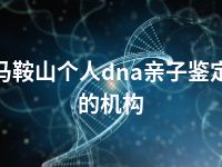 马鞍山个人dna亲子鉴定的机构