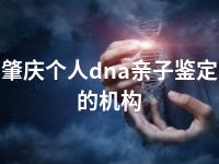 肇庆个人dna亲子鉴定的机构