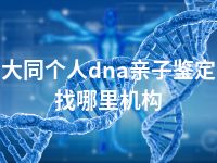 大同个人dna亲子鉴定找哪里机构