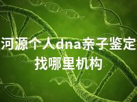 河源个人dna亲子鉴定找哪里机构