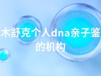 图木舒克个人dna亲子鉴定的机构