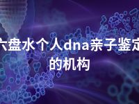 六盘水个人dna亲子鉴定的机构