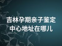 吉林孕期亲子鉴定中心地址在哪儿