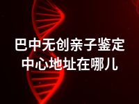 巴中无创亲子鉴定中心地址在哪儿