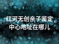 红河无创亲子鉴定中心地址在哪儿