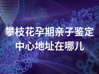 攀枝花孕期亲子鉴定中心地址在哪儿