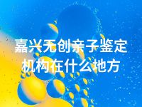 嘉兴无创亲子鉴定机构在什么地方