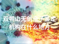 双鸭山无创亲子鉴定机构在什么地方