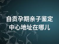 自贡孕期亲子鉴定中心地址在哪儿