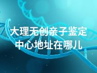 大理无创亲子鉴定中心地址在哪儿