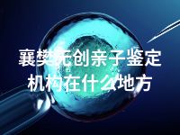 襄樊无创亲子鉴定机构在什么地方