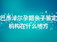 巴彦淖尔孕期亲子鉴定机构在什么地方