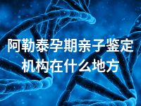 阿勒泰孕期亲子鉴定机构在什么地方