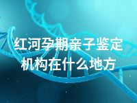 红河孕期亲子鉴定机构在什么地方