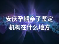 安庆孕期亲子鉴定机构在什么地方