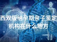 西双版纳孕期亲子鉴定机构在什么地方