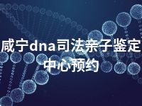 咸宁dna司法亲子鉴定中心预约