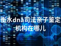 衡水dna司法亲子鉴定机构在哪儿