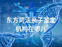 东方司法亲子鉴定机构在哪儿