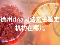 徐州dna司法亲子鉴定机构在哪儿