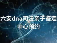 六安dna司法亲子鉴定中心预约