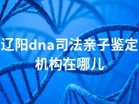 辽阳dna司法亲子鉴定机构在哪儿