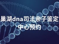 巢湖dna司法亲子鉴定中心预约