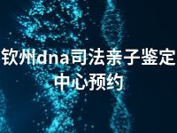 钦州dna司法亲子鉴定中心预约