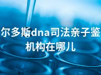 鄂尔多斯dna司法亲子鉴定机构在哪儿