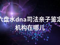 六盘水dna司法亲子鉴定机构在哪儿