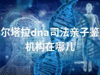 博尔塔拉dna司法亲子鉴定机构在哪儿