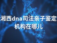 湘西dna司法亲子鉴定机构在哪儿