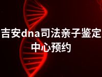 吉安dna司法亲子鉴定中心预约