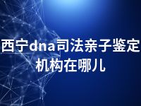 西宁dna司法亲子鉴定机构在哪儿