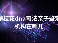 攀枝花dna司法亲子鉴定机构在哪儿