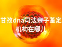 甘孜dna司法亲子鉴定机构在哪儿