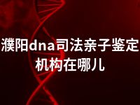 濮阳dna司法亲子鉴定机构在哪儿