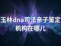 玉林dna司法亲子鉴定机构在哪儿