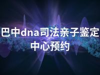 巴中dna司法亲子鉴定中心预约