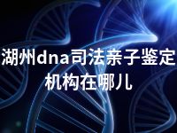 湖州dna司法亲子鉴定机构在哪儿