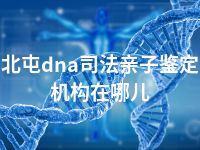 北屯dna司法亲子鉴定机构在哪儿