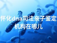 怀化dna司法亲子鉴定机构在哪儿