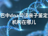 巴中dna司法亲子鉴定机构在哪儿