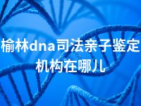 榆林dna司法亲子鉴定机构在哪儿