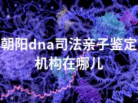 朝阳dna司法亲子鉴定机构在哪儿