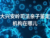 大兴安岭司法亲子鉴定机构在哪儿