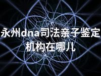 永州dna司法亲子鉴定机构在哪儿