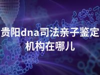 贵阳dna司法亲子鉴定机构在哪儿