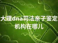 大理dna司法亲子鉴定机构在哪儿